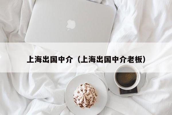 上海出国中介（上海出国中介老板）