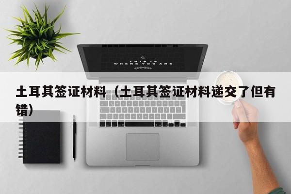 土耳其签证材料（土耳其签证材料递交了但有错）