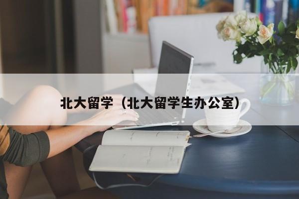 北大留学（北大留学生办公室）