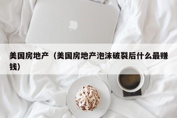 美国房地产（美国房地产泡沫破裂后什么最赚钱）