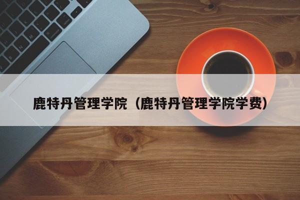 鹿特丹管理学院（鹿特丹管理学院学费）