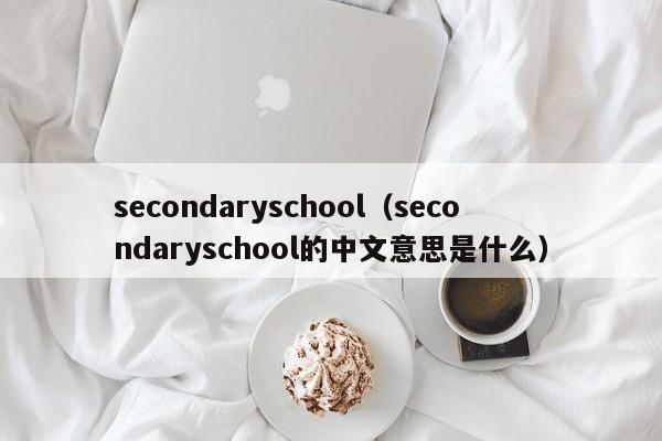 secondaryschool（secondaryschool的中文意思是什么）