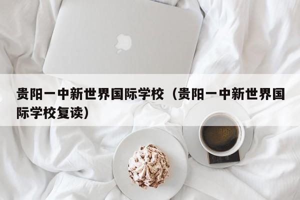 贵阳一中新世界国际学校（贵阳一中新世界国际学校复读）