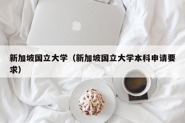 新加坡国立大学（新加坡国立大学本科申请要求）