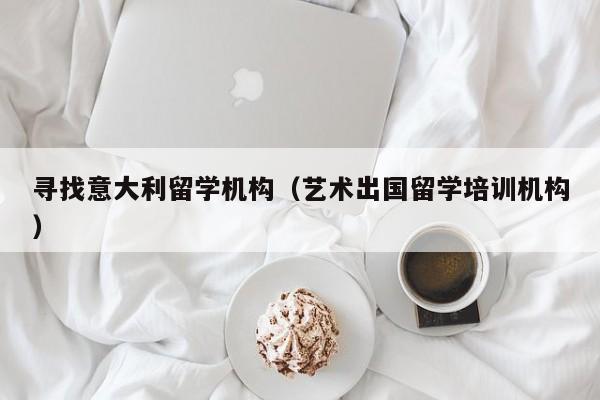 寻找意大利留学机构（艺术出国留学培训机构）