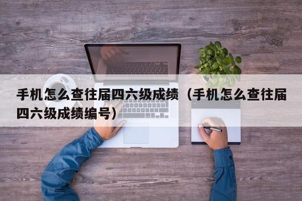 手机怎么查往届四六级成绩（手机怎么查往届四六级成绩编号）