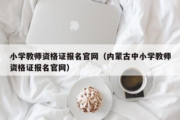 小学教师资格证报名官网（内蒙古中小学教师资格证报名官网）