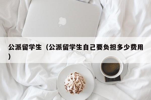 公派留学生（公派留学生自己要负担多少费用）