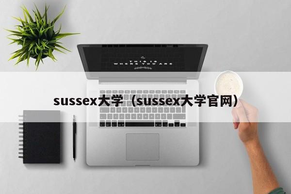 sussex大学（sussex大学官网）