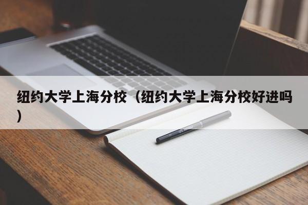 纽约大学上海分校（纽约大学上海分校好进吗）