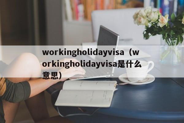workingholidayvisa（workingholidayvisa是什么意思）
