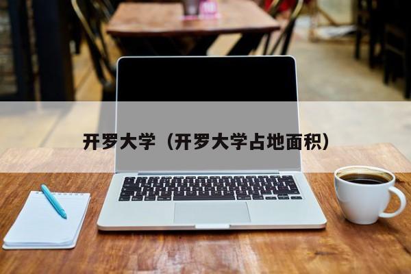 开罗大学（开罗大学占地面积）