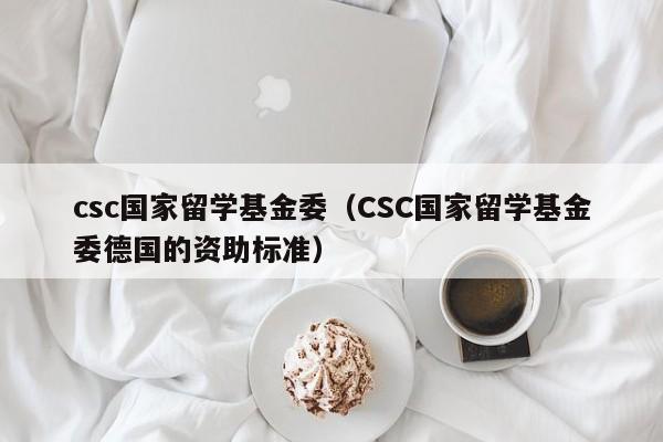 csc国家留学基金委（CSC国家留学基金委德国的资助标准）