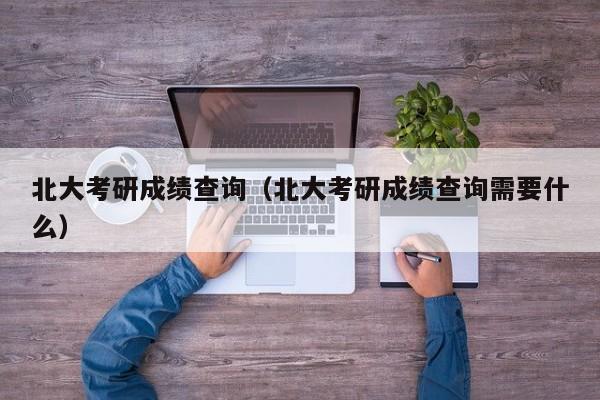 北大考研成绩查询（北大考研成绩查询需要什么）