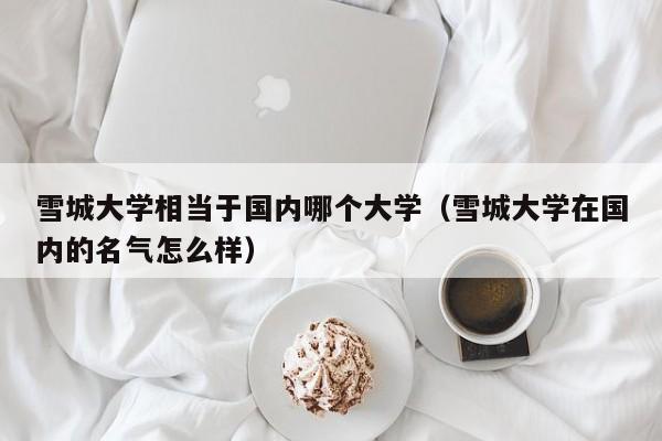雪城大学相当于国内哪个大学（雪城大学在国内的名气怎么样）
