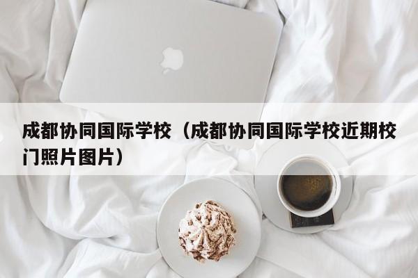 成都协同国际学校（成都协同国际学校近期校门照片图片）