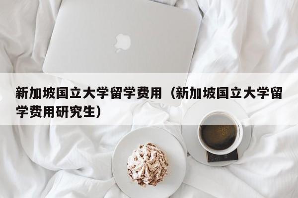 新加坡国立大学留学费用（新加坡国立大学留学费用研究生）