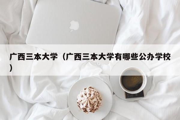 广西三本大学（广西三本大学有哪些公办学校）