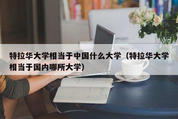 特拉华大学相当于中国什么大学（特拉华大学相当于国内哪所大学）