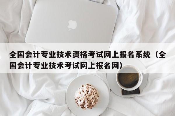 全国会计专业技术资格考试网上报名系统（全国会计专业技术考试网上报名网）