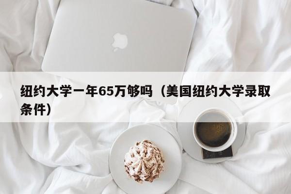 纽约大学一年65万够吗（美国纽约大学录取条件）