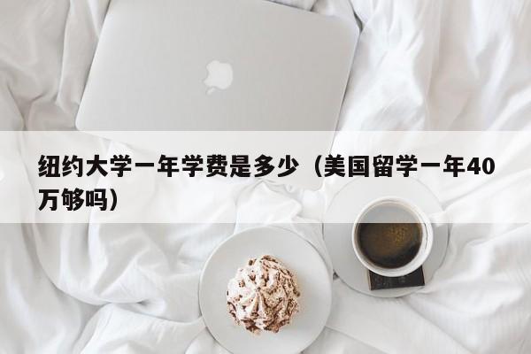 纽约大学一年学费是多少（美国留学一年40万够吗）