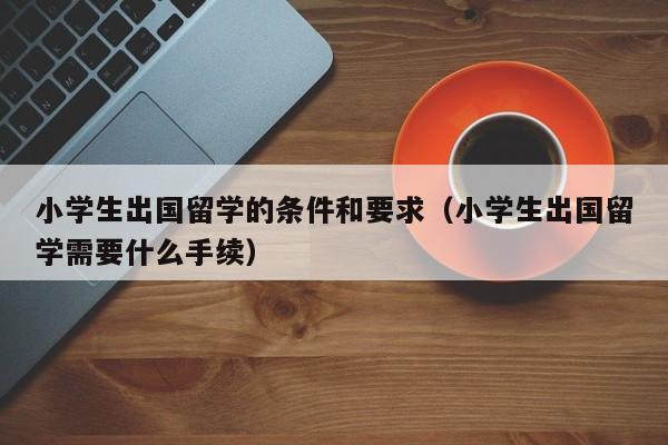小学生出国留学的条件和要求（小学生出国留学需要什么手续）