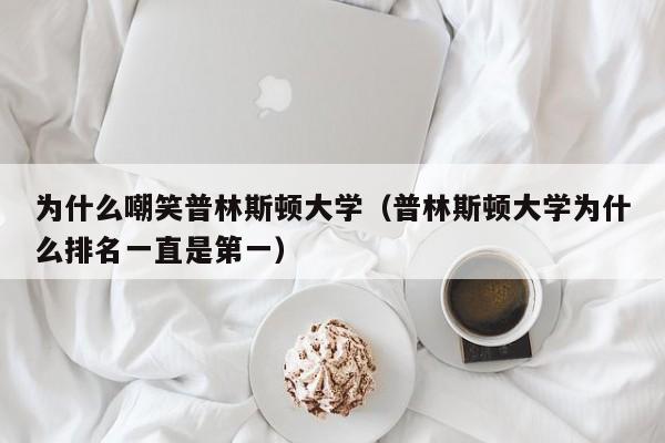 为什么嘲笑普林斯顿大学（普林斯顿大学为什么排名一直是第一）