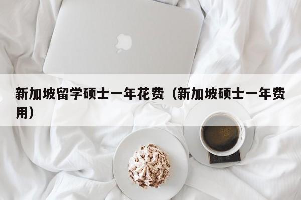 新加坡留学硕士一年花费（新加坡硕士一年费用）