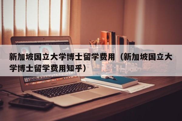 新加坡国立大学博士留学费用（新加坡国立大学博士留学费用知乎）