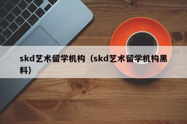 skd艺术留学机构（skd艺术留学机构黑料）