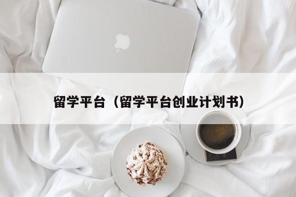 留学平台（留学平台创业计划书）