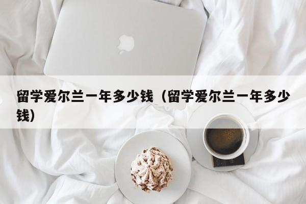 留学爱尔兰一年多少钱（留学爱尔兰一年多少钱）