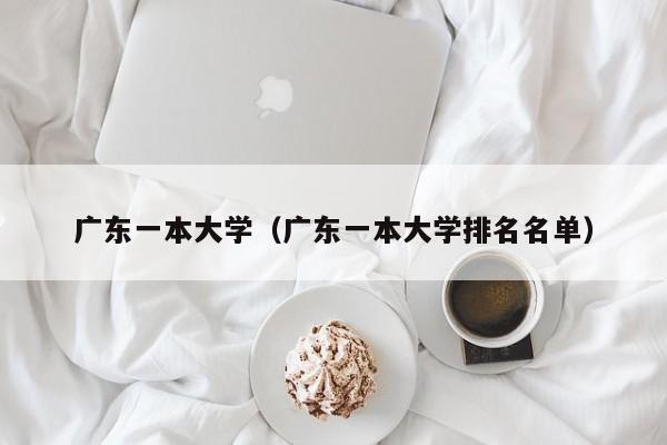 广东一本大学（广东一本大学排名名单）