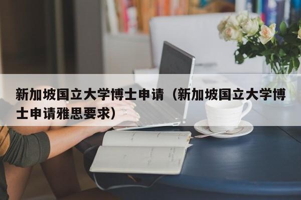 新加坡国立大学博士申请（新加坡国立大学博士申请雅思要求）