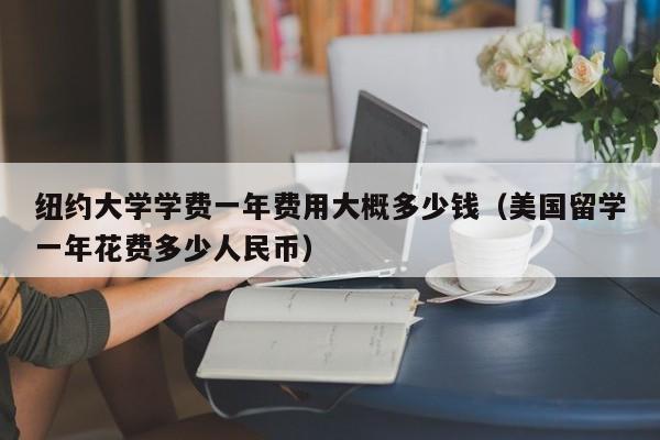 纽约大学学费一年费用大概多少钱（美国留学一年花费多少人民币）