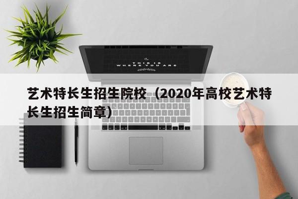 艺术特长生招生院校（2020年高校艺术特长生招生简章）