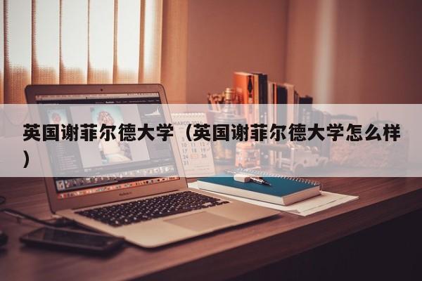 英国谢菲尔德大学（英国谢菲尔德大学怎么样）