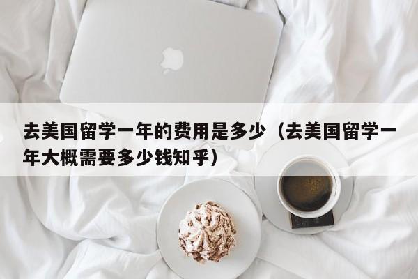 去美国留学一年的费用是多少（去美国留学一年大概需要多少钱知乎）
