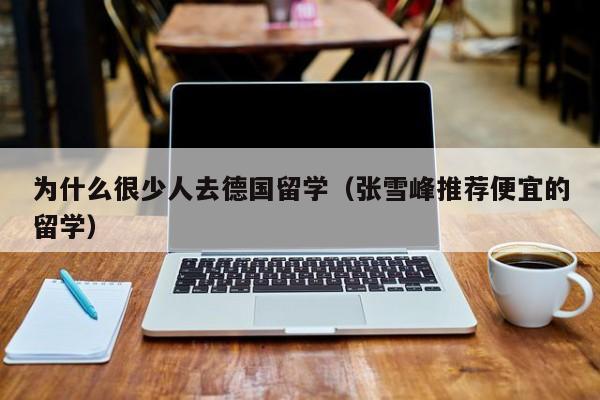 为什么很少人去德国留学（张雪峰推荐便宜的留学）