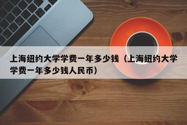 上海纽约大学学费一年多少钱（上海纽约大学学费一年多少钱人民币）