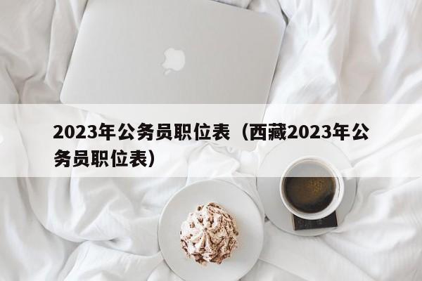 2023年公务员职位表（西藏2023年公务员职位表）