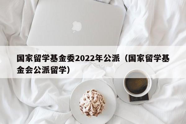 国家留学基金委2022年公派（国家留学基金会公派留学）