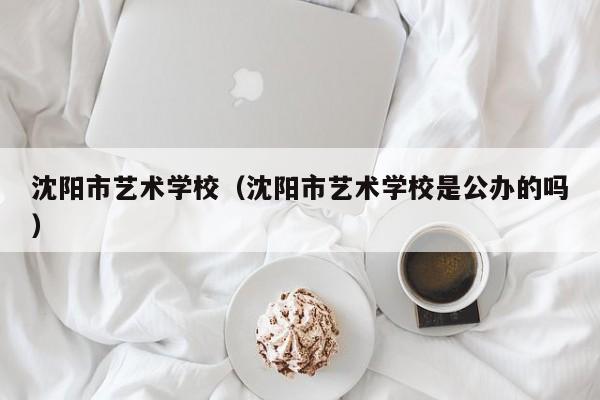 沈阳市艺术学校（沈阳市艺术学校是公办的吗）