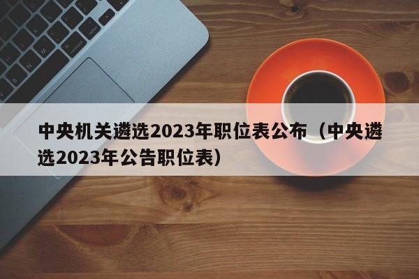 中央机关遴选2023年职位表公布（中央遴选2023年公告职位表）