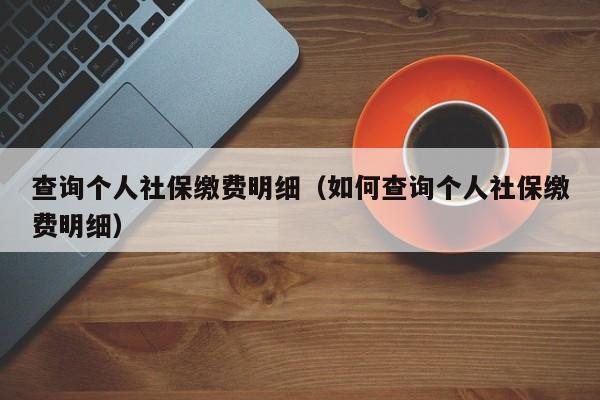 查询个人社保缴费明细（如何查询个人社保缴费明细）