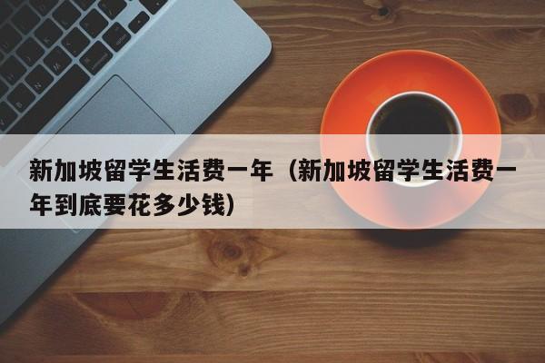 新加坡留学生活费一年（新加坡留学生活费一年到底要花多少钱）
