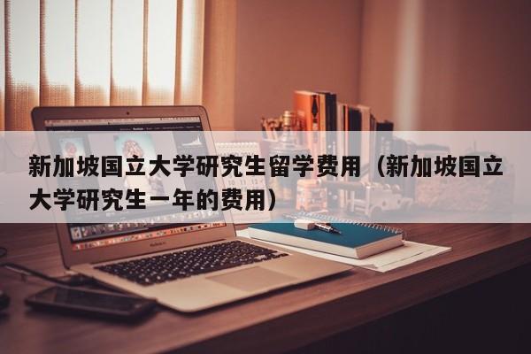 新加坡国立大学研究生留学费用（新加坡国立大学研究生一年的费用）