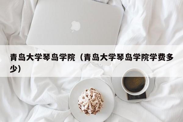 青岛大学琴岛学院（青岛大学琴岛学院学费多少）