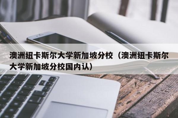 澳洲纽卡斯尔大学新加坡分校（澳洲纽卡斯尔大学新加坡分校国内认）